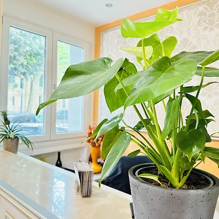 Dream Hub بيت ضيافة ميستر