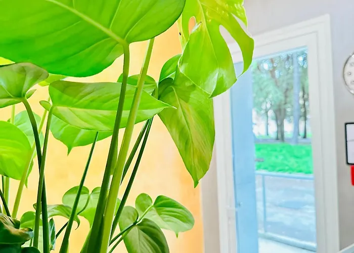 Dream Hub Pensjonat *