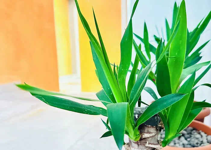 Pensjonat Dream Hub *