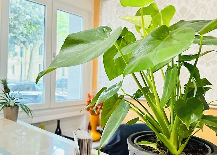 Dream Hub Pensjonat Mestre