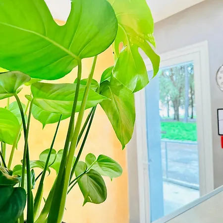 Dream Hub Guest house *