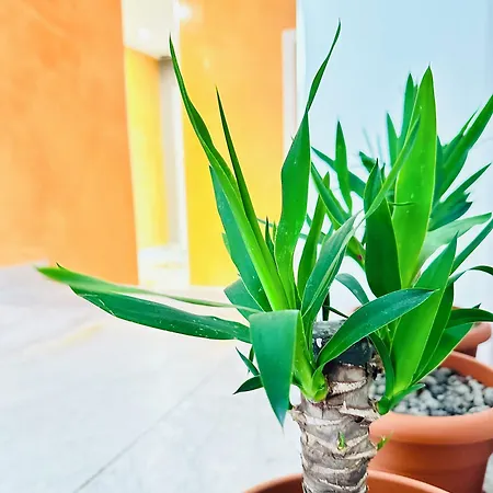 Maison d'hôtes Dream Hub *