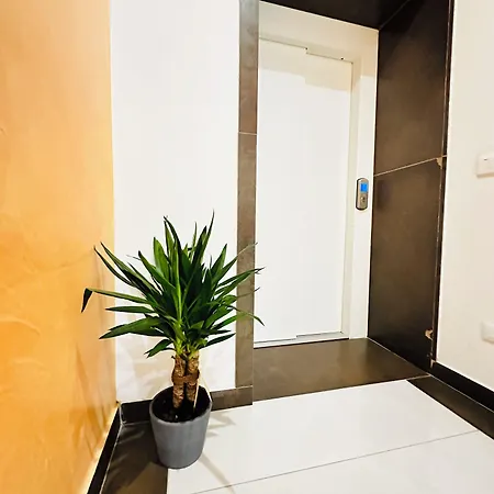 Dream Hub 메스트레